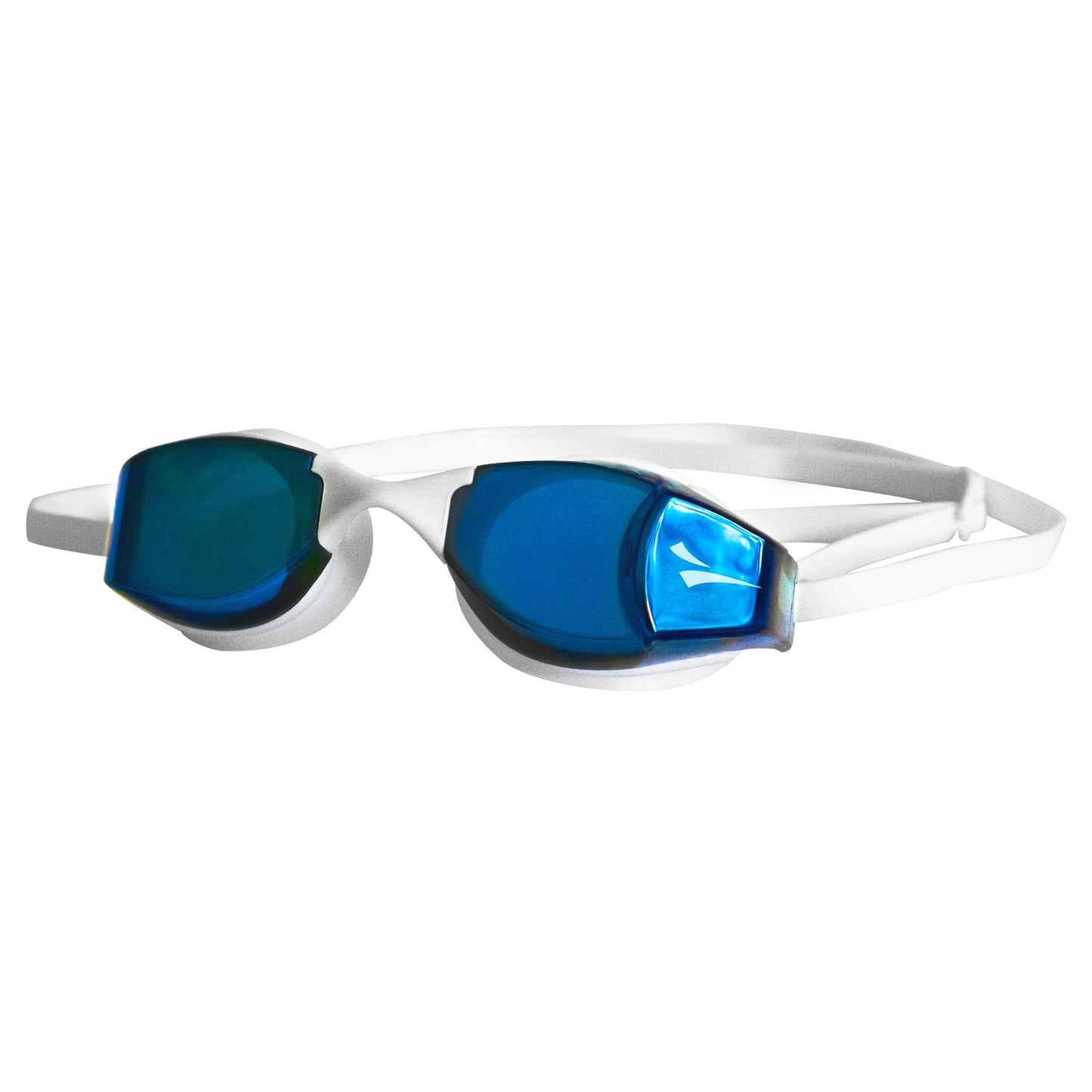 Smart Goggle